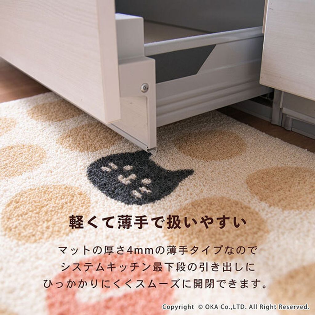 539440125_1403423941783967_4686839565449682890_n