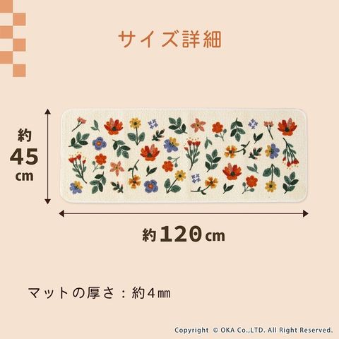 539394760_1403520311774330_4011385990243381606_n