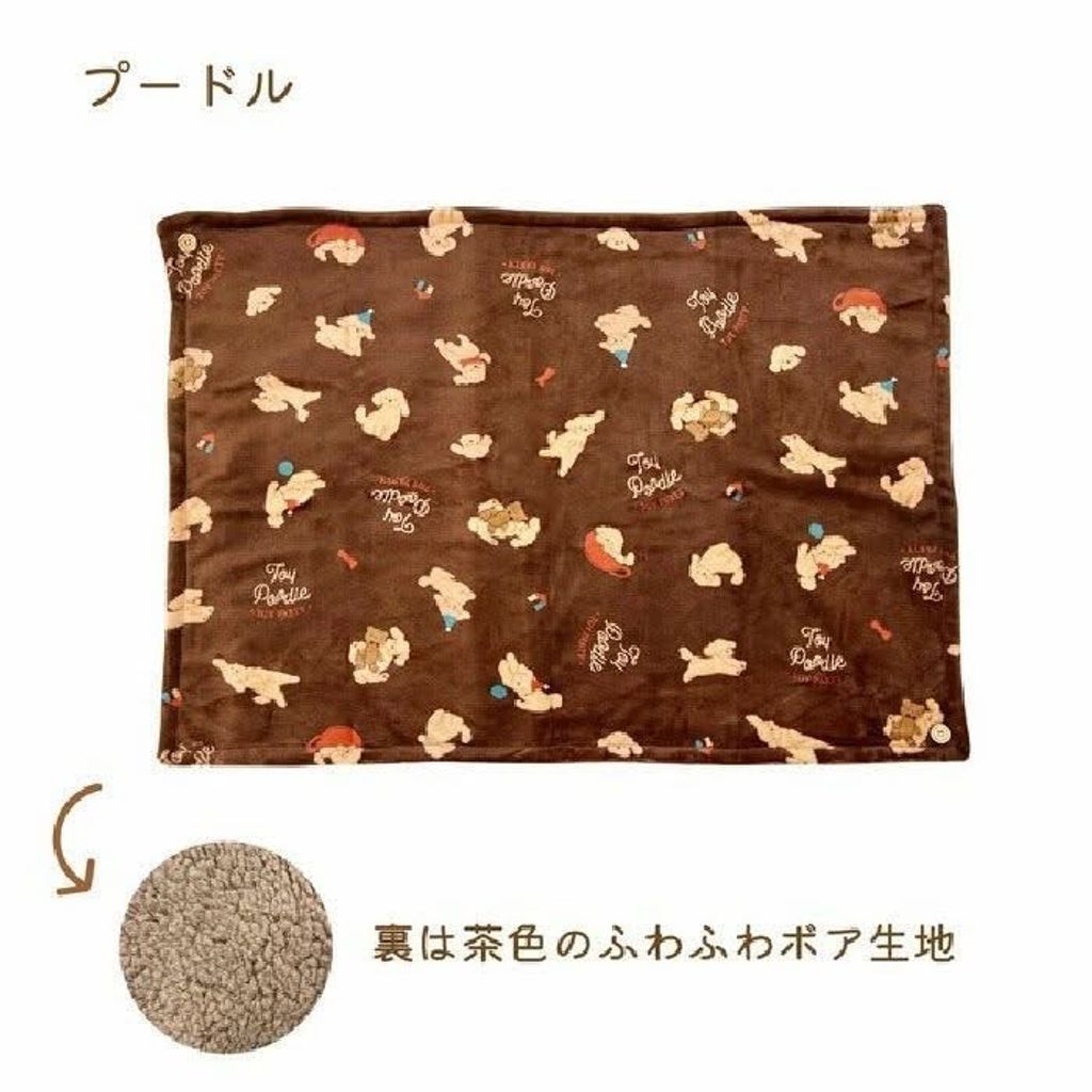 image_77CE9516-9698-4ED9-9E8A-2164C41217DE_1758781727