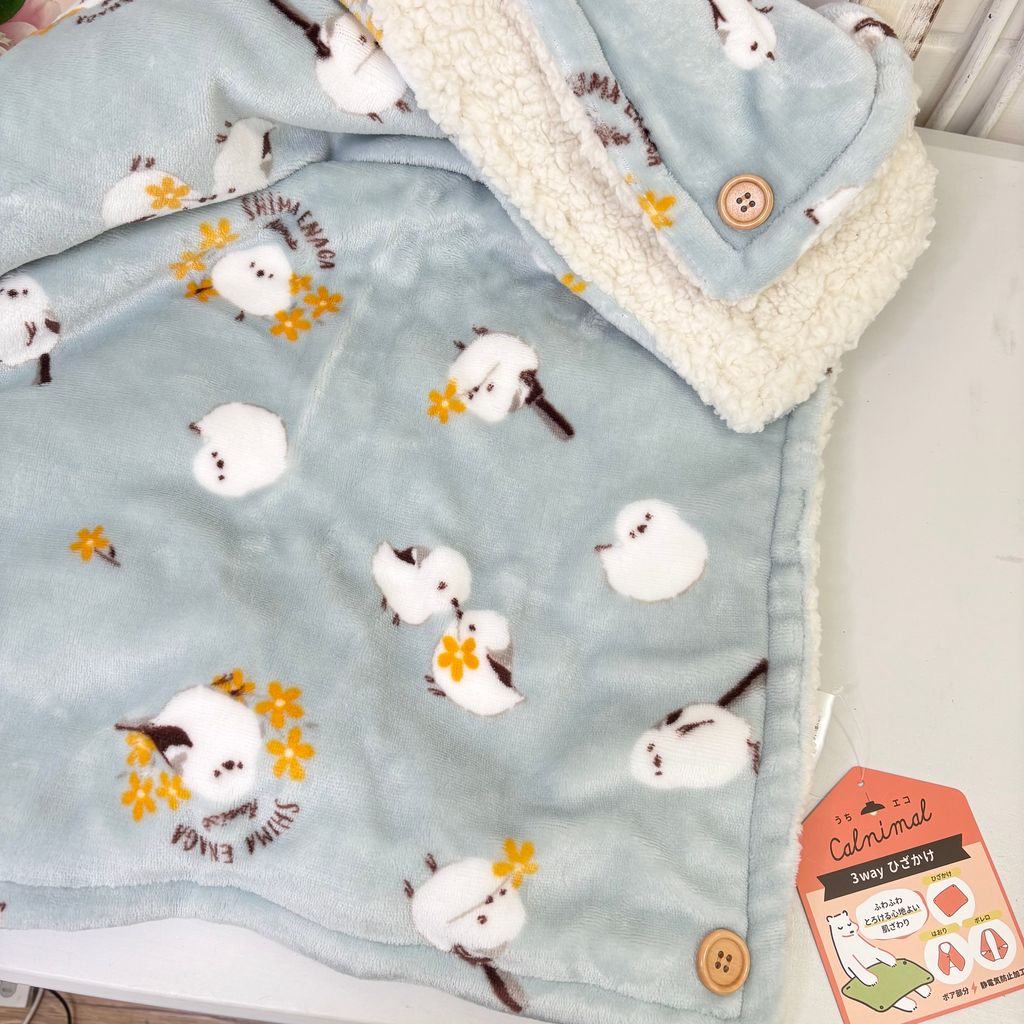 image_9C00CFB1-9DE9-4579-9413-2AC91025F354_1758781727