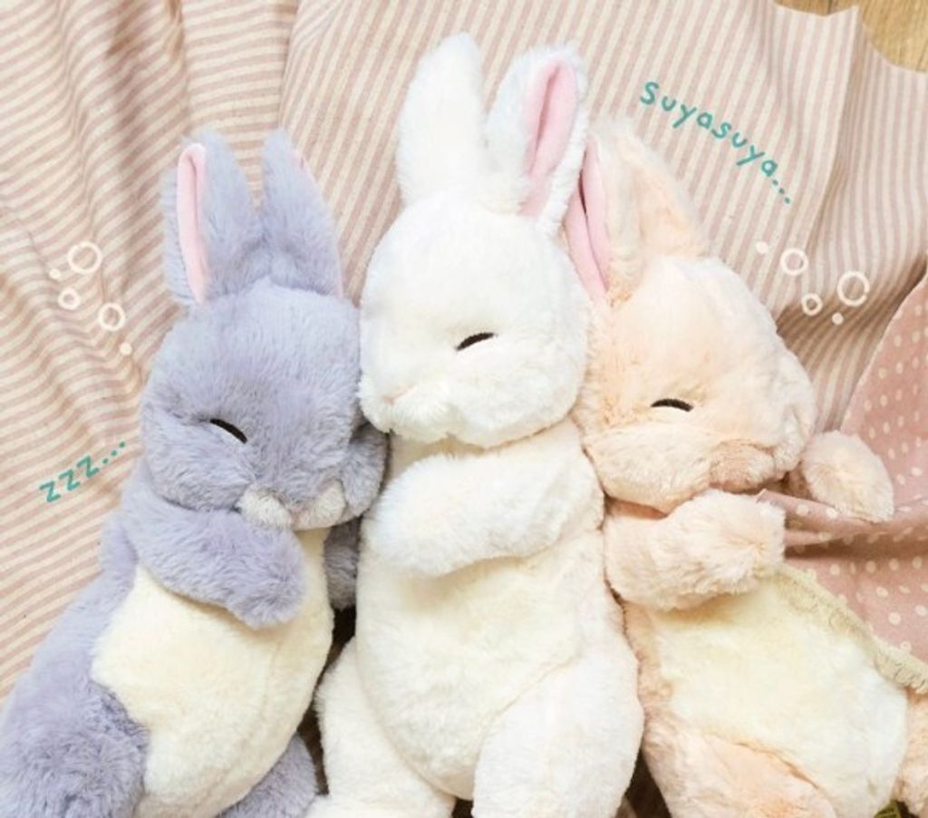 558477705_1442887567837604_5844123956663002827_n