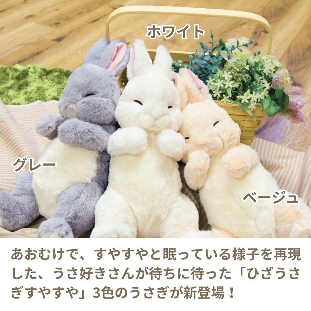 558776126_1442887661170928_9123325589364901827_n