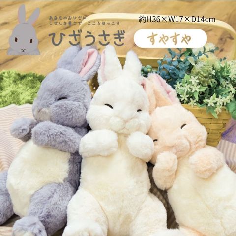 558538187_1442887487837612_819688954631912636_n