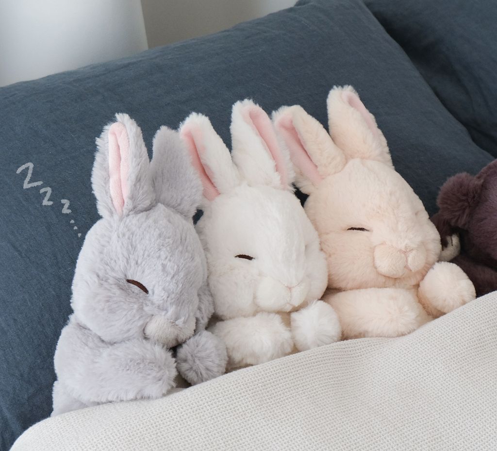 559112288_1442887607837600_3918849899536667408_n