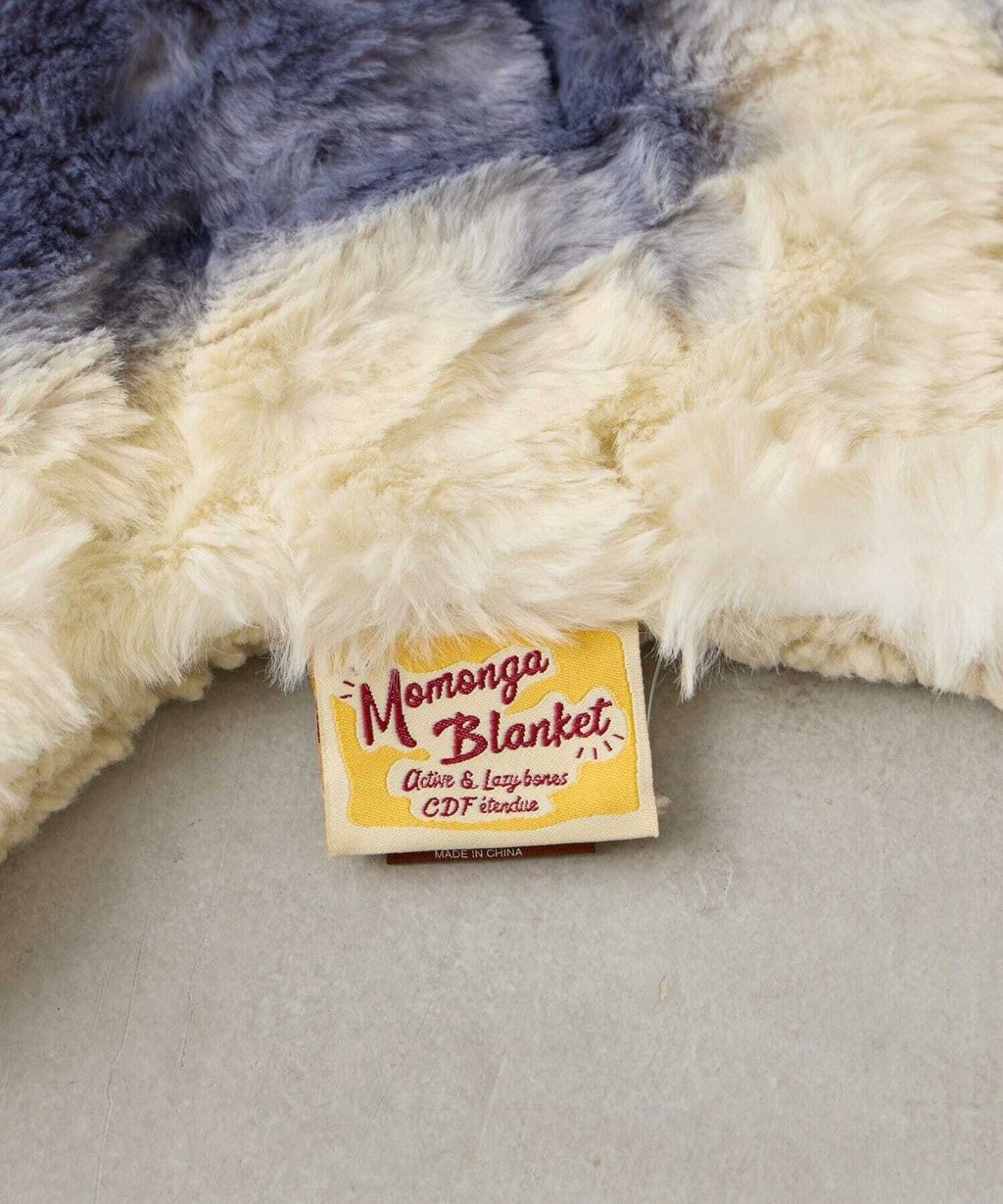 558176404_1440841711375523_4959640958715973010_n