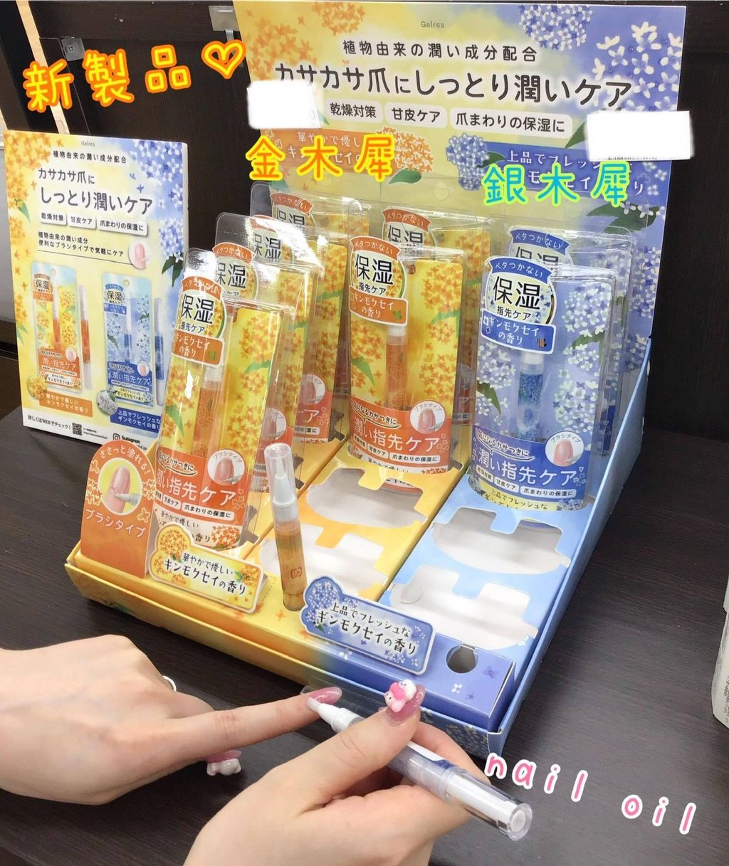 526603218_1377950280998000_7852816883716461593_n