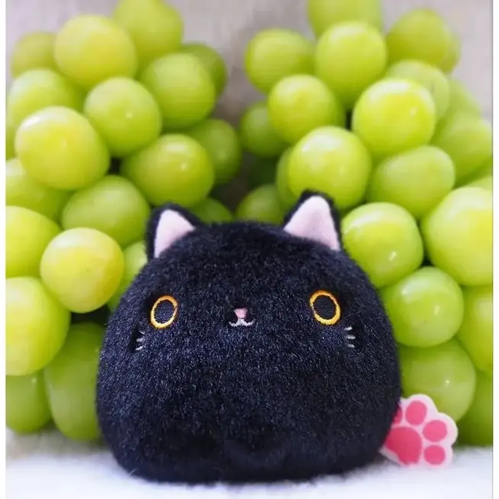 f65e6aa9c7dead7a796ba5443f1caec5