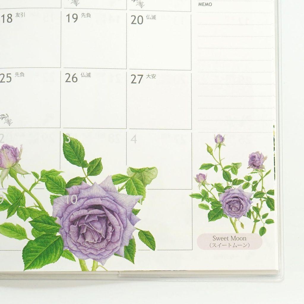 71fj3+vWDpL._AC_SL1500_