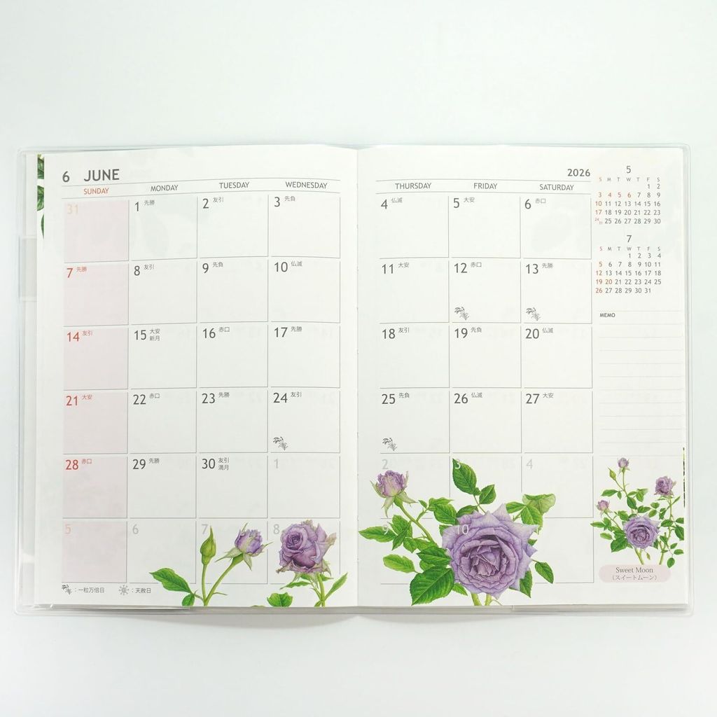 61JX8gvKUjL._AC_SL1500_