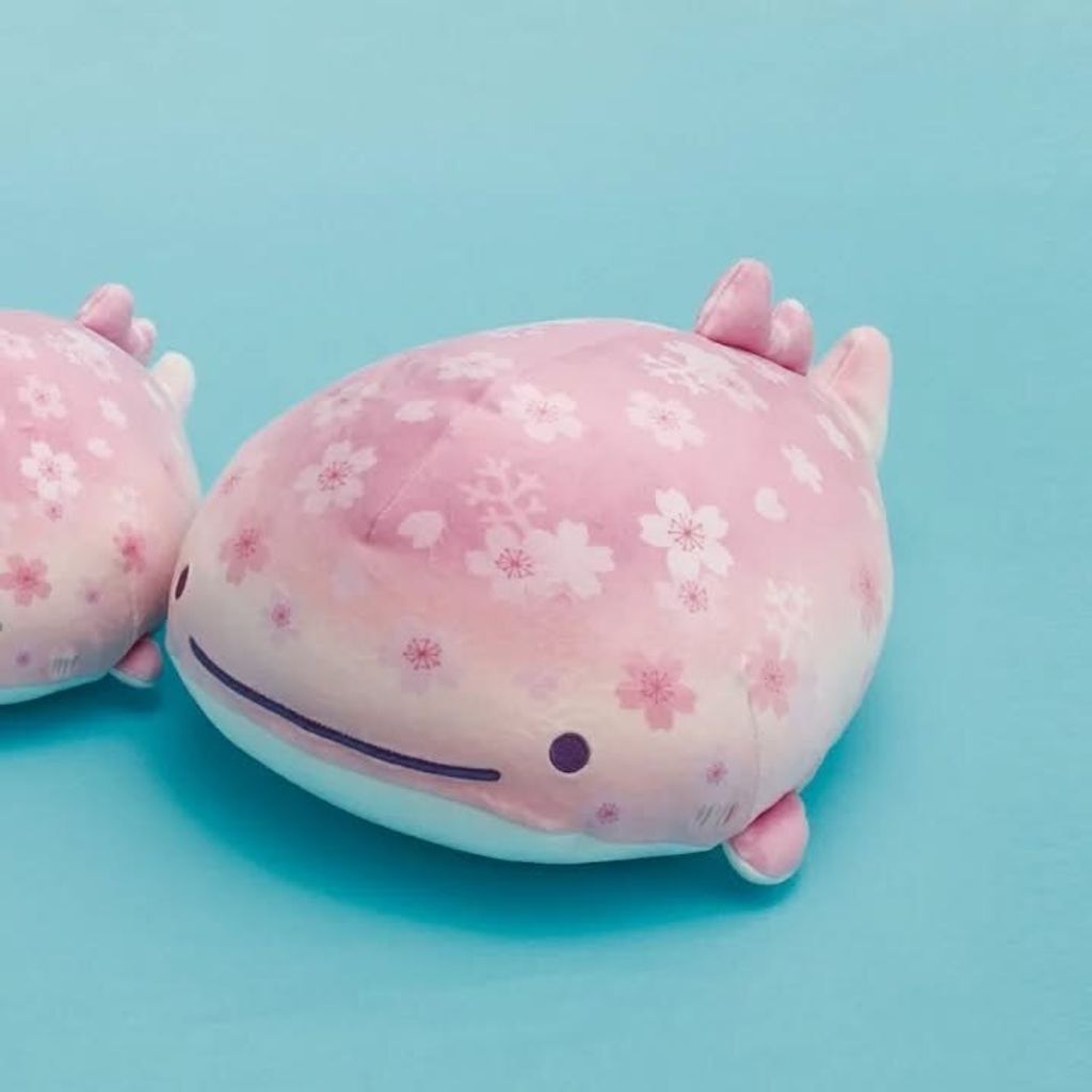 tw-11134207-81zto-mggatipcnytn65