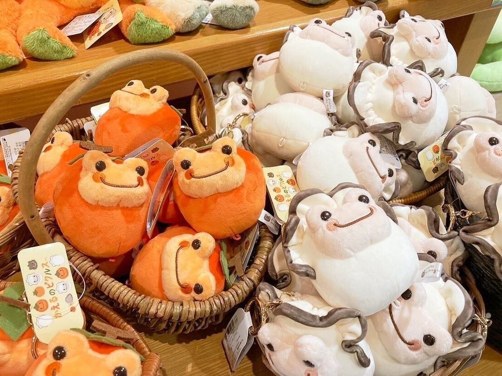 541837133_18414676432108115_5092812742287276763_n