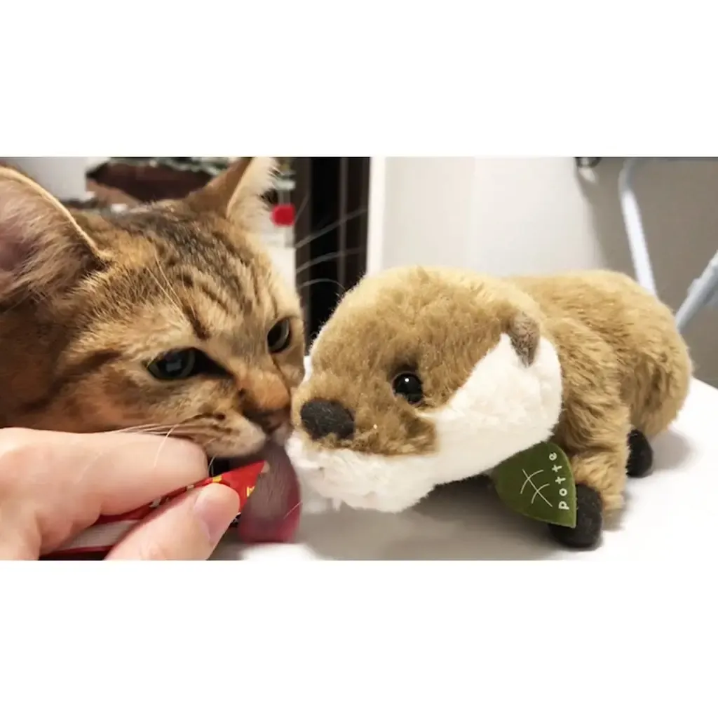 faf131a18c3e75818ca93feb8b24f27e