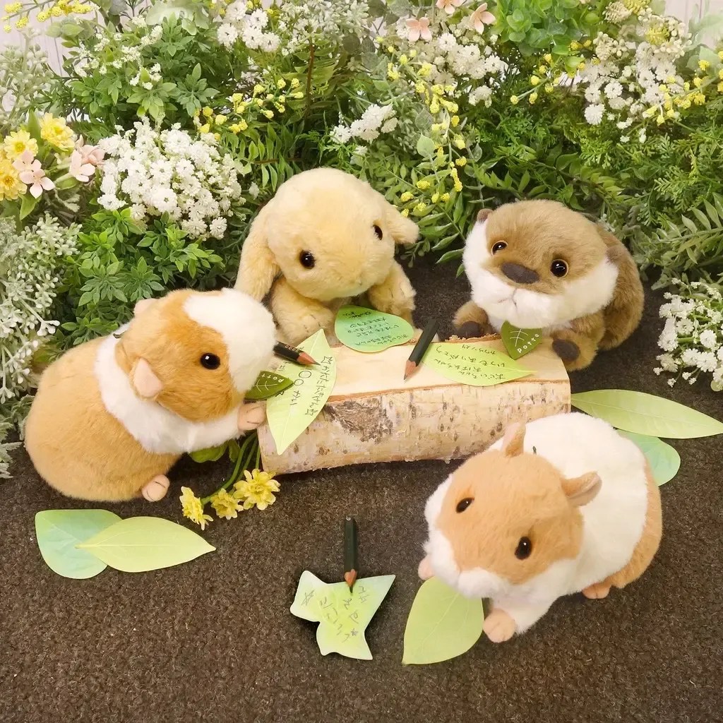 75eaef0a01033e2834cfc3d690ba0781