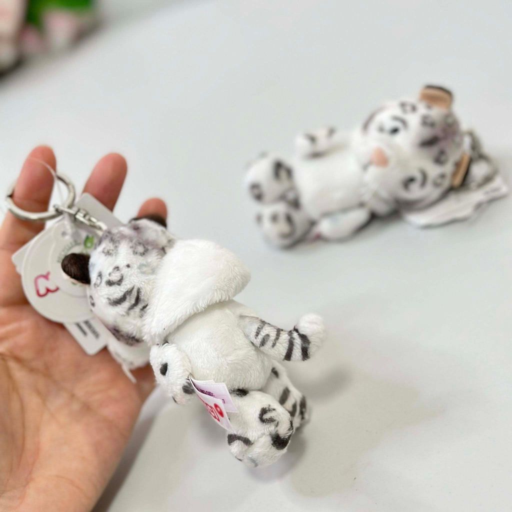 582563227_1477681024358258_6858450177777433263_n