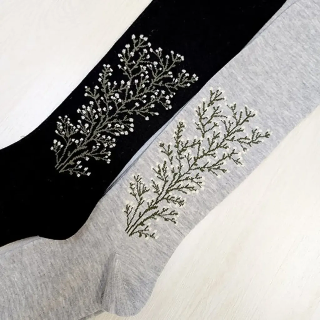 551388319_18032766275702248_4091588151445079320_n