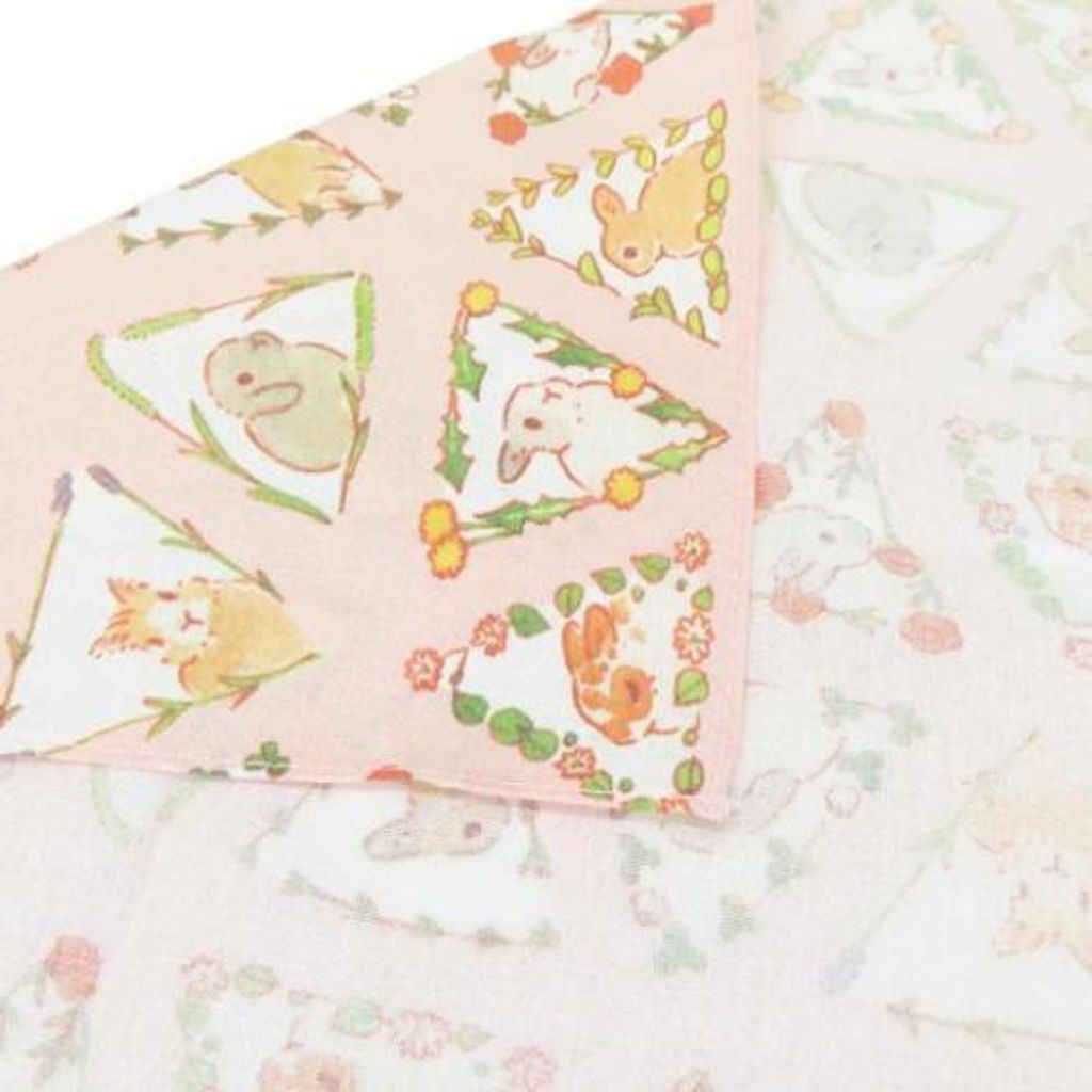 572799208_1465373322255695_5330101723418464338_n