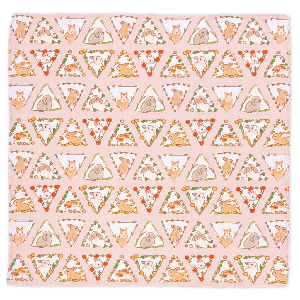 571995886_1465373282255699_1737662715931909876_n