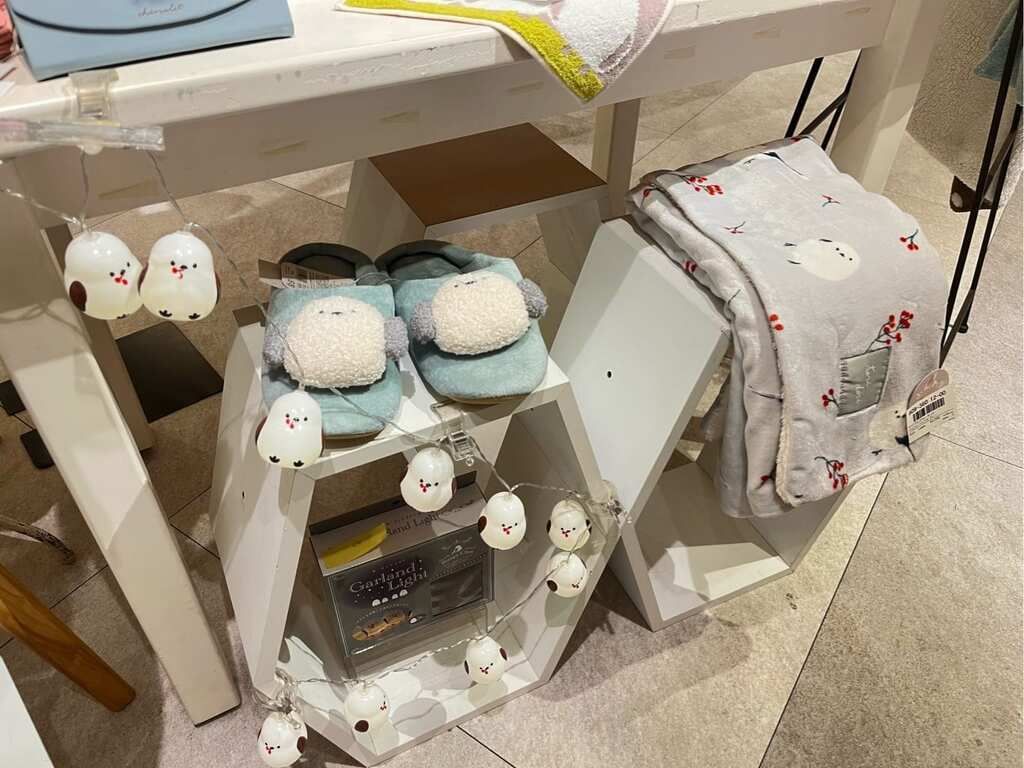 597394149_1500276475432046_4033481899936452160_n