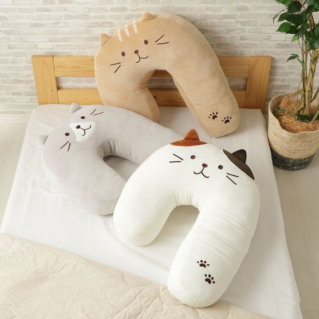 597297122_1499335412192819_7544703570702796478_n