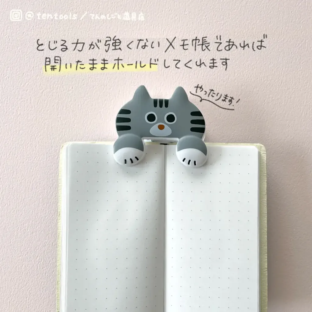 IMG_0538_e9007bc9-6a30-4813-a494-4e0757102f92