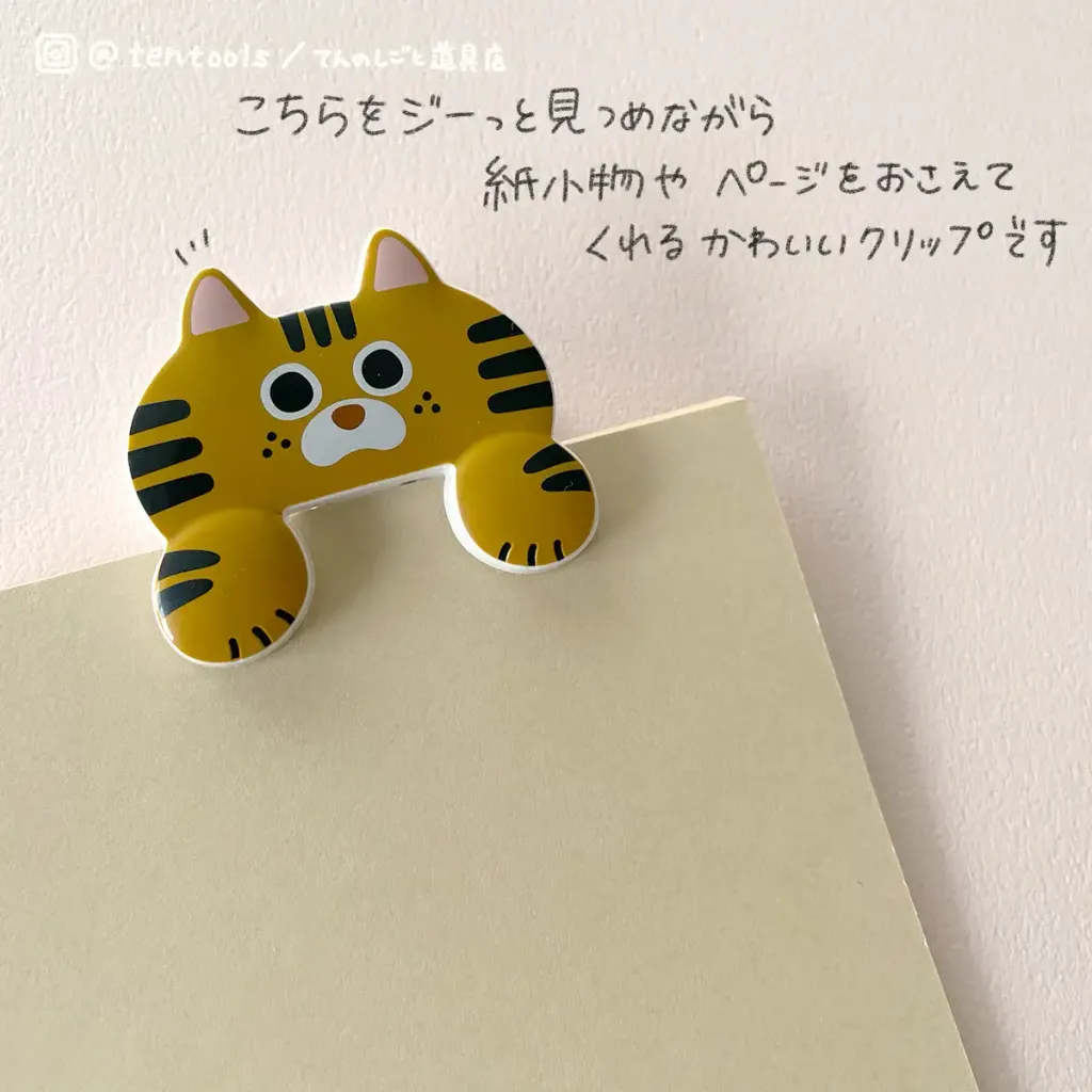 IMG_0537_bd9b2b32-ed75-4def-b5f6-e3ed06c956ff