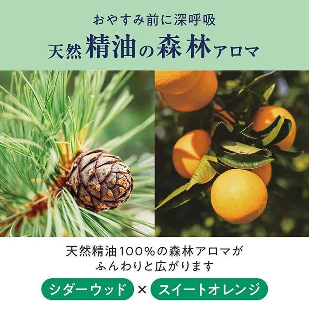 585335322_1481853380607689_8227710110544831166_n