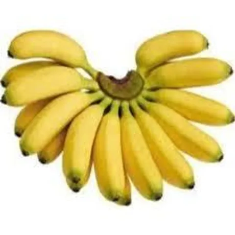Banana Emas.jpg
