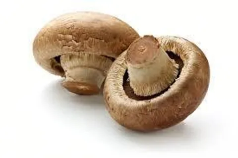 Brown Button Mushroom.jpg