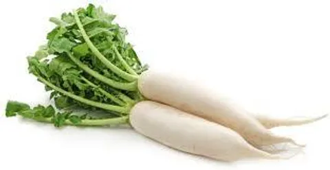 Radish.jpg