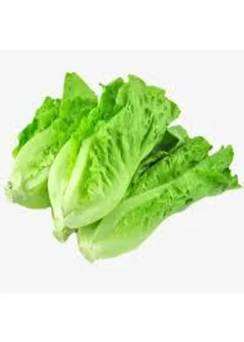 Italy Lettuce.jpg