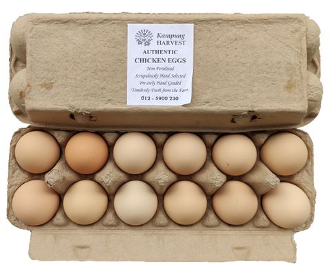 KHT Eggs.jpg