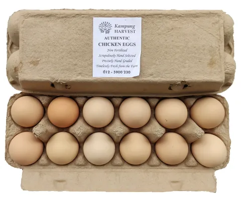 KHT Eggs.jpg
