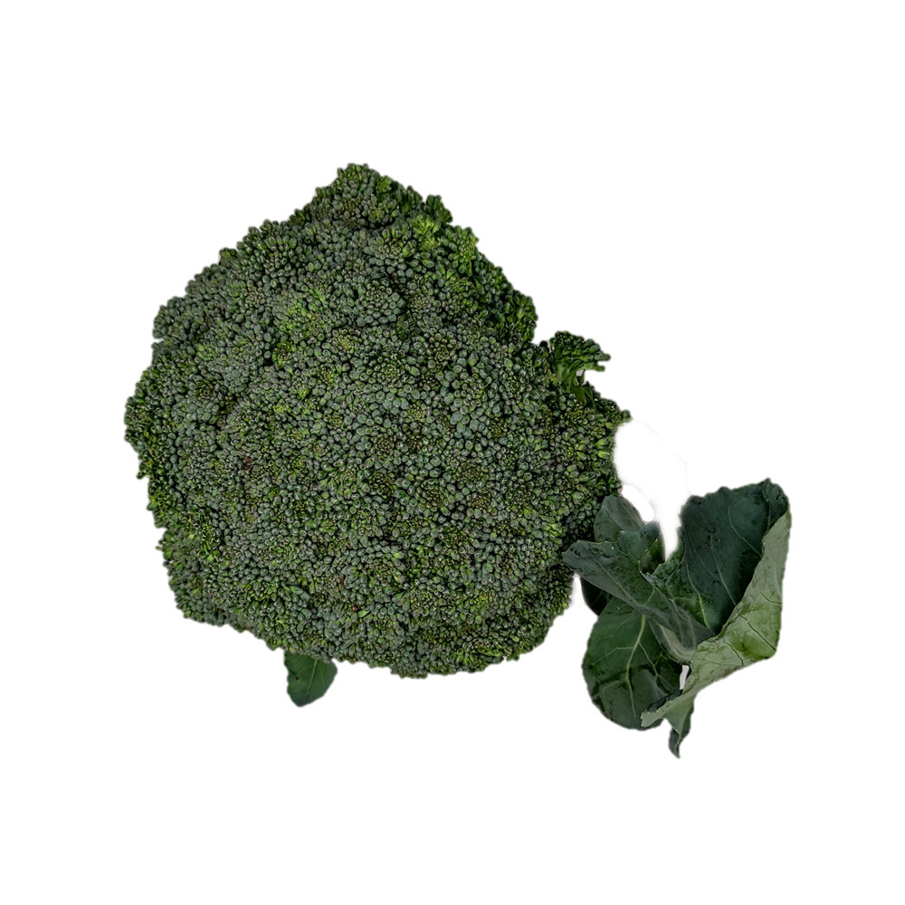 Broccoli 2.png