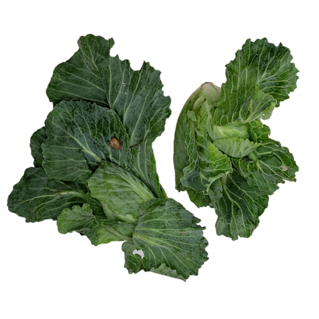 Cabbage Shoot.png