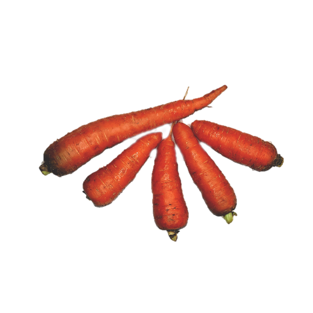 Carrot.png