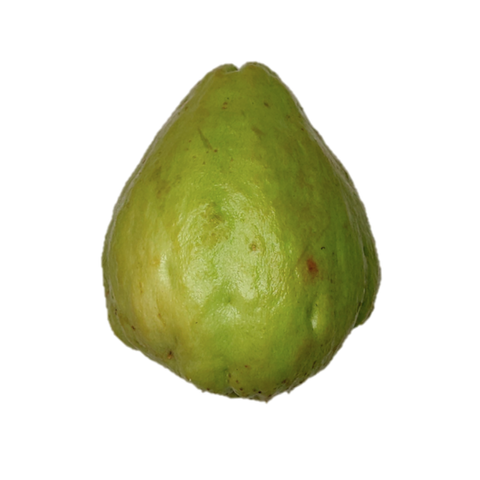 Chayote.png