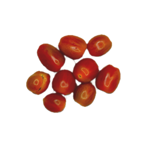 Cherry Tomato.png