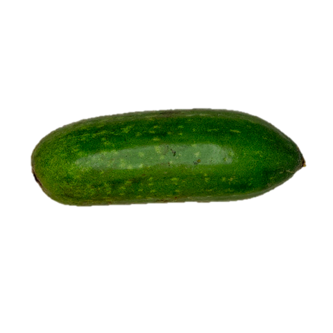 Hairy Gourd.png