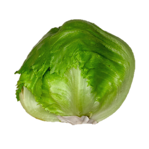 Head Lettuce 2.png