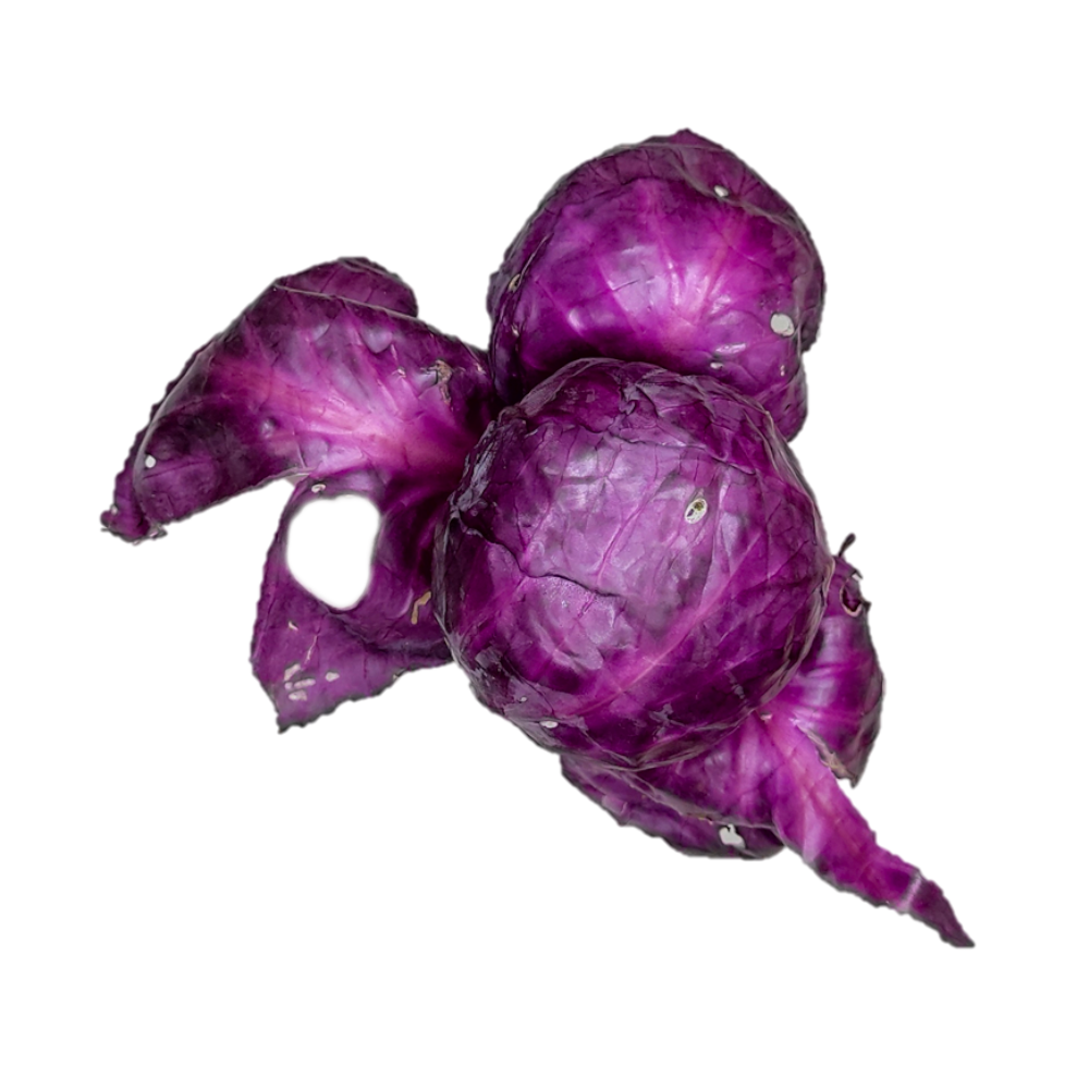 Red Cabbage 2.png