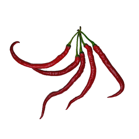 Red Chili.png