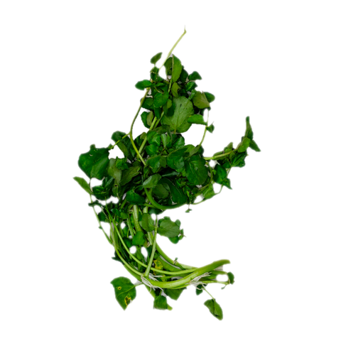Watercress.png