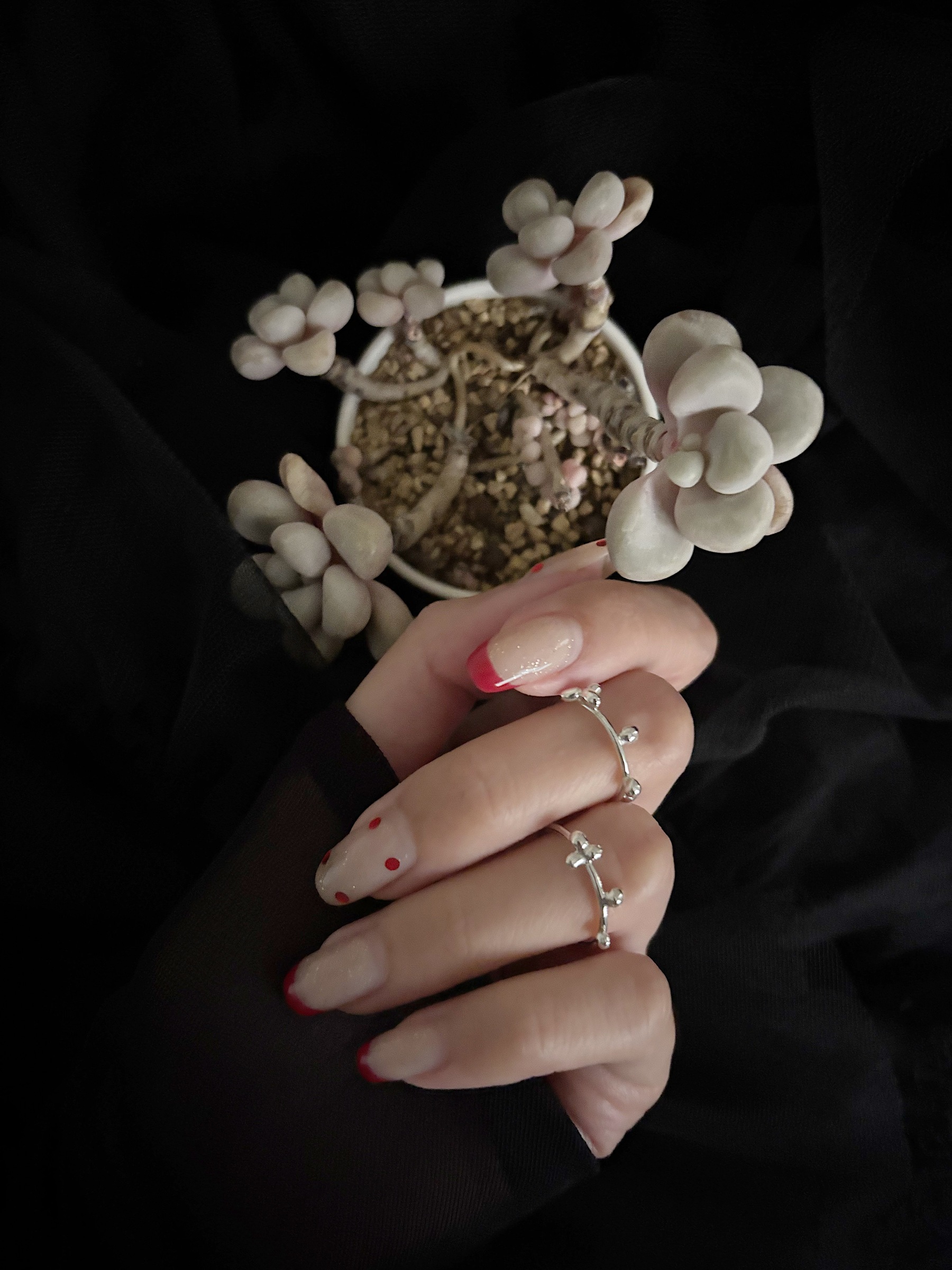 2441641D-2372-4776-BF40-C4623665EE87