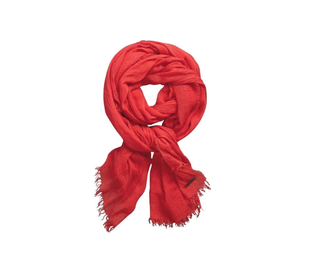 PhotoRoom_20230629_101320