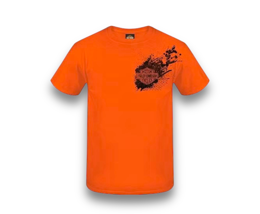 IMG_9961-1730155075544