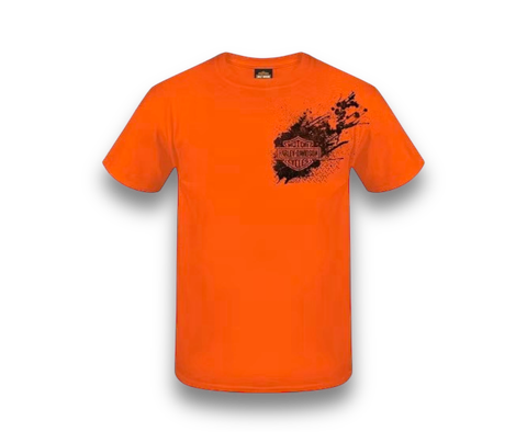 IMG_9961-1730155075544