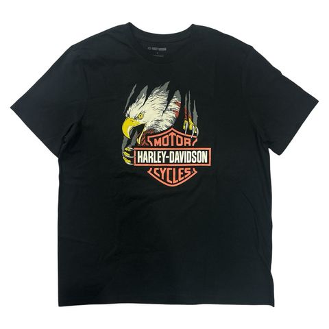 my-11134207-7ras9-m4mmu5exby0p6d