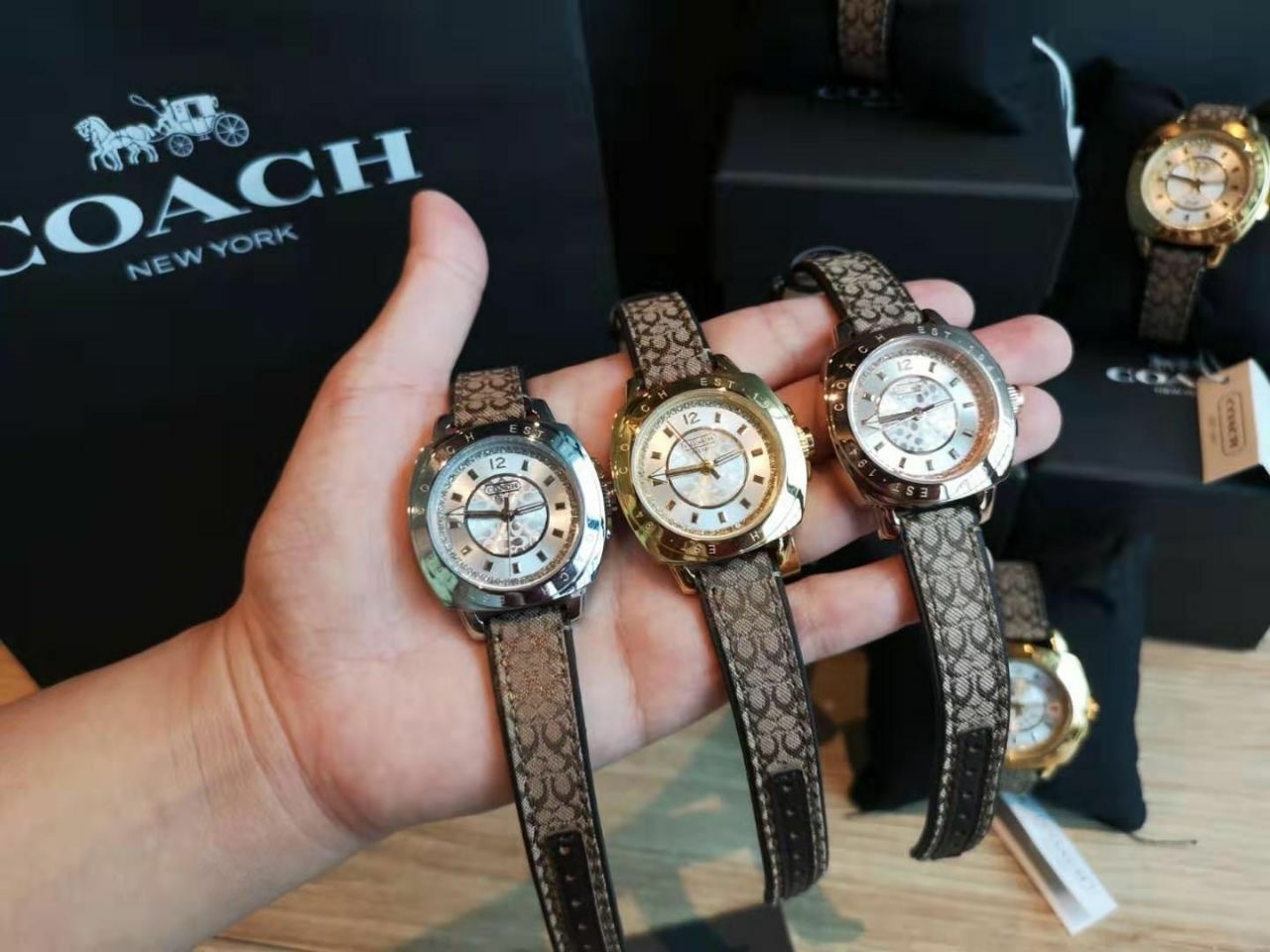 coach mini boyfriend watch