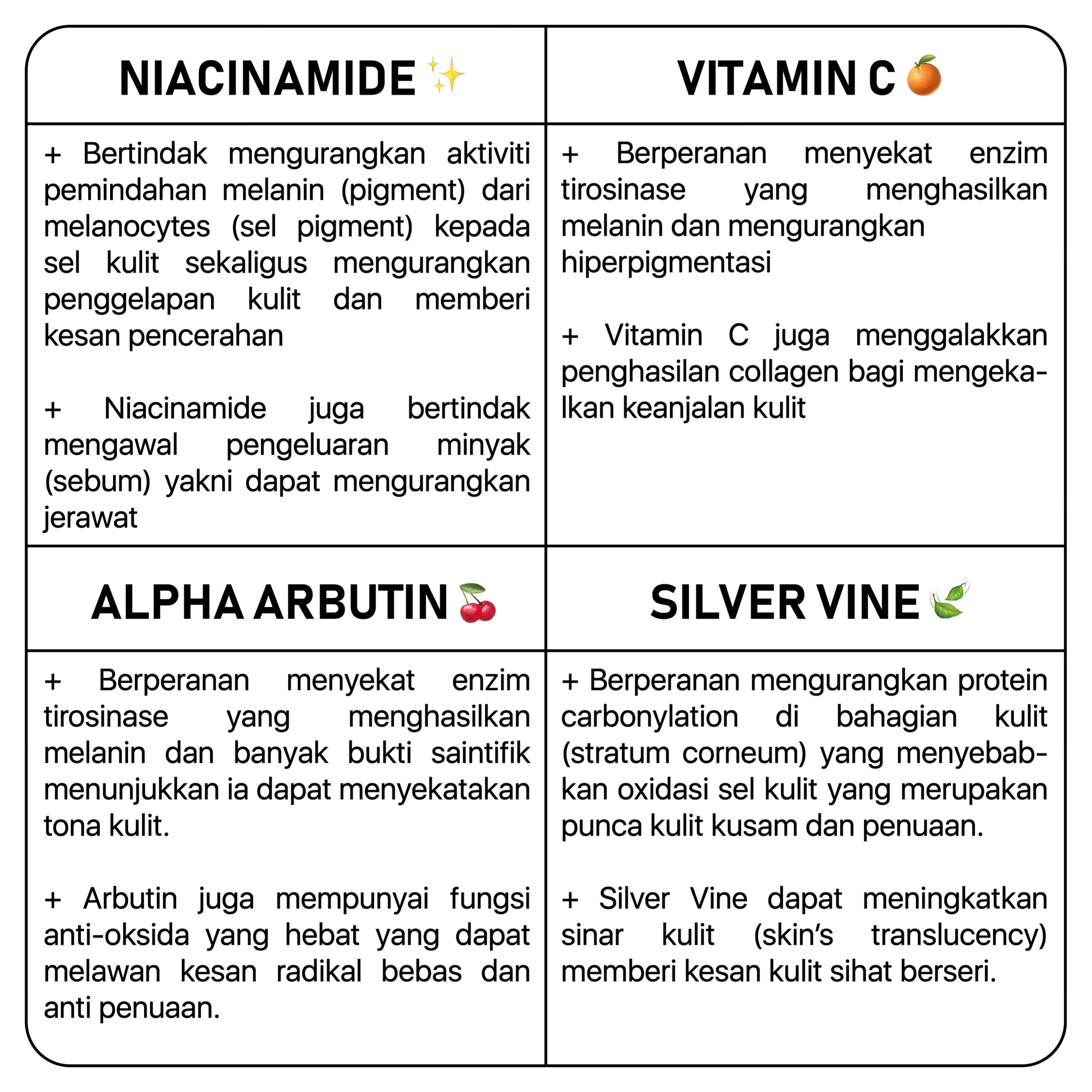 KEY INGREDIENTS TABLE-01.jpg