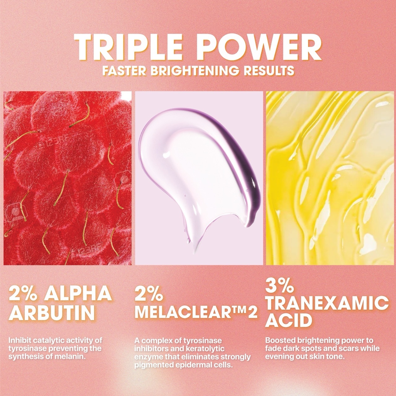 Artboard 4@220x Large